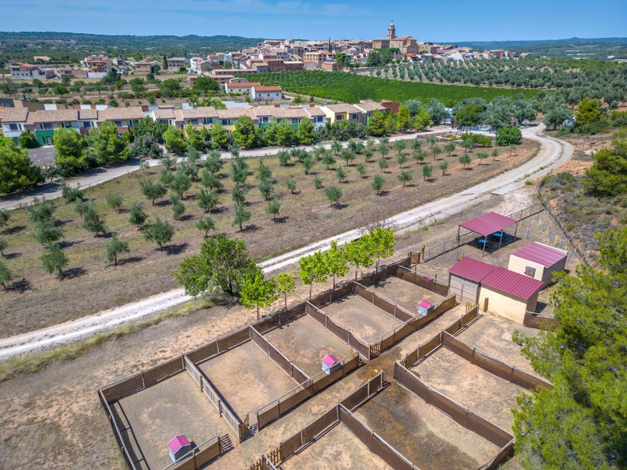 阿内斯维拉尔乡村酒店 Sant Carlos de la Ràpita 外观 照片