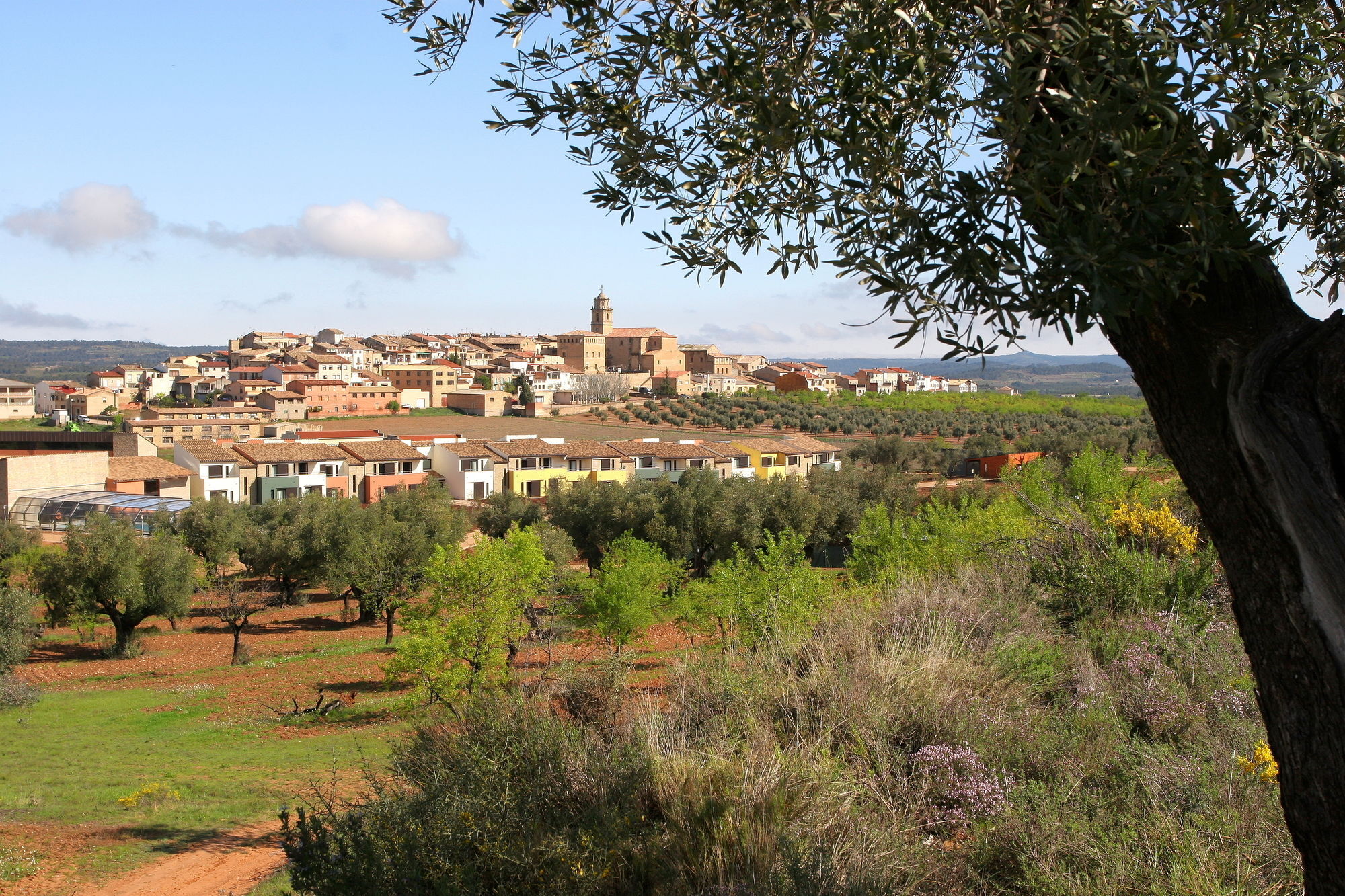 阿内斯维拉尔乡村酒店 Sant Carlos de la Ràpita 外观 照片